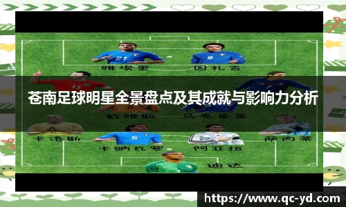 苍南足球明星全景盘点及其成就与影响力分析