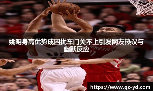 wedvictor伟德官网