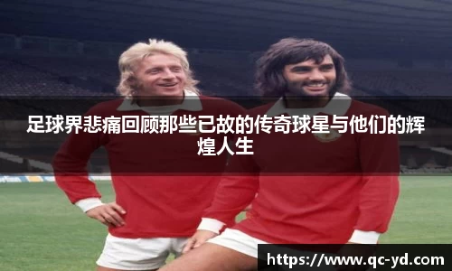 wedvictor伟德官方网站