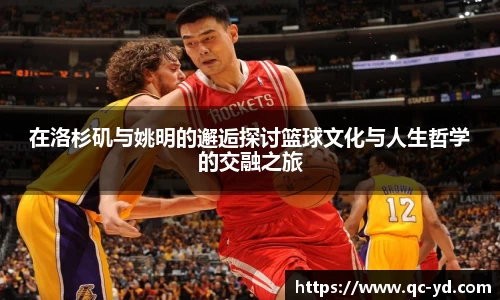 wedvictor伟德官网