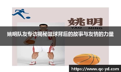 wedvictor伟德官网