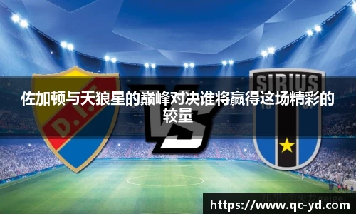 wedvictor伟德国际