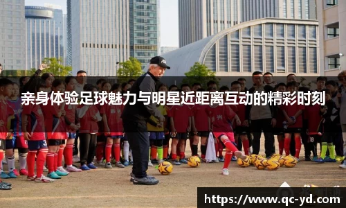 wedvictor伟德官网