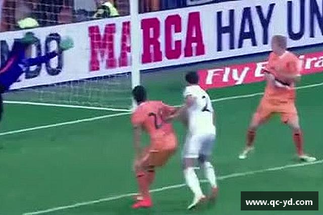 关于wedvictor伟德